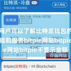 用户可以了解比特派钱包的最新功能和服务bitpie网站bitpie不显示金额