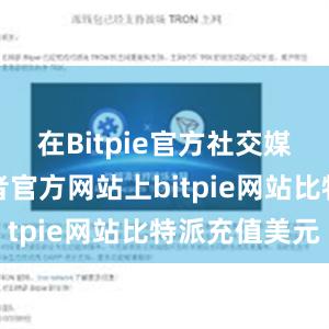 在Bitpie官方社交媒体账号或者官方网站上bitpie网站比特派充值美元