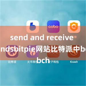 send and receive fundsbitpie网站比特派中bch