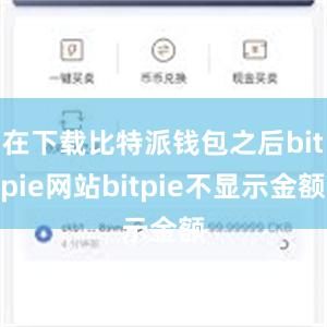 在下载比特派钱包之后bitpie网站bitpie不显示金额