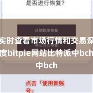 实时查看市场行情和交易深度bitpie网站比特派中bch