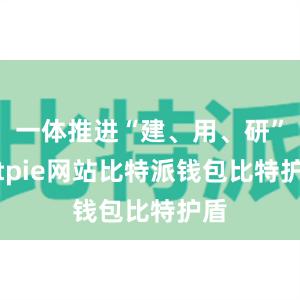 一体推进“建、用、研”bitpie网站比特派钱包比特护盾