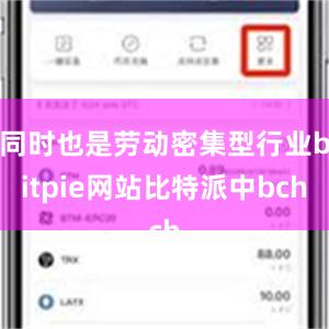 同时也是劳动密集型行业bitpie网站比特派中bch