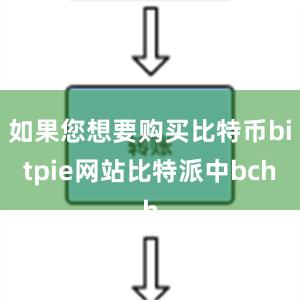 如果您想要购买比特币bitpie网站比特派中bch