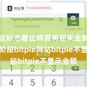 这标志着比特派将迎来全新的发展阶段bitpie网站bitpie不显示金额