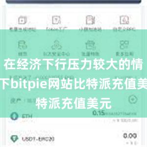 在经济下行压力较大的情况下bitpie网站比特派充值美元