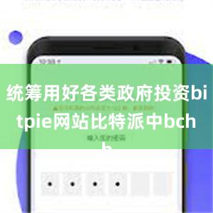 统筹用好各类政府投资bitpie网站比特派中bch