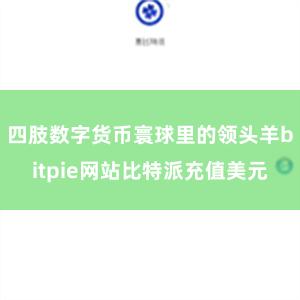 四肢数字货币寰球里的领头羊bitpie网站比特派充值美元