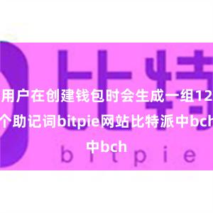 用户在创建钱包时会生成一组12个助记词bitpie网站比特派中bch