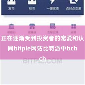 正在逐渐受到投资者的宠爱和认同bitpie网站比特派中bch