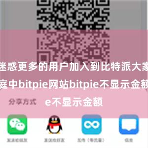 迷惑更多的用户加入到比特派大家庭中bitpie网站bitpie不显示金额