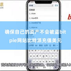 确保自己的资产不会被盗bitpie网站比特派充值美元