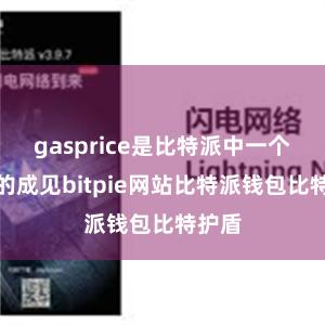 gasprice是比特派中一个挫折的成见bitpie网站比特派钱包比特护盾